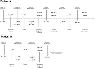 Case report: Variable response to immunotherapy in ovarian cancer: Our experience within the current state of the art